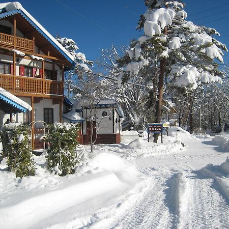 Bed and Breakfast Alpine Wind Hakuba Exterior foto